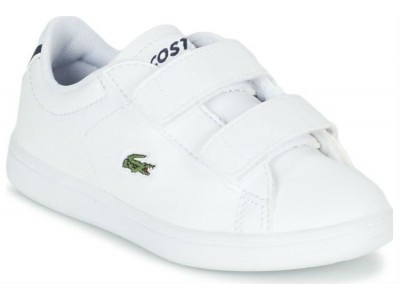 Lacoste Carnaby evo bl 1 sui 37-33SPI1003042 white